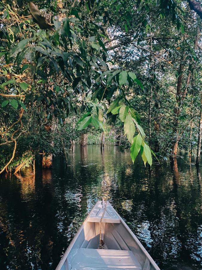 Amazon Arowana Lodge Careiro 외부 사진