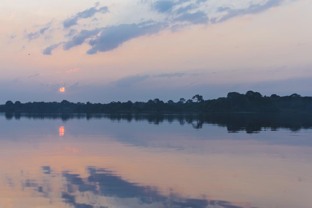 Amazon Arowana Lodge Careiro 외부 사진
