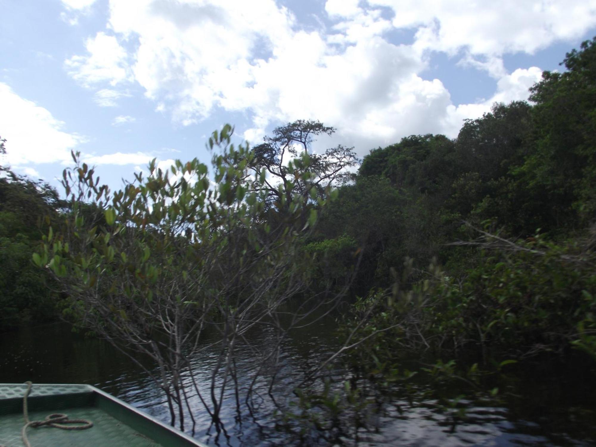 Amazon Arowana Lodge Careiro 외부 사진