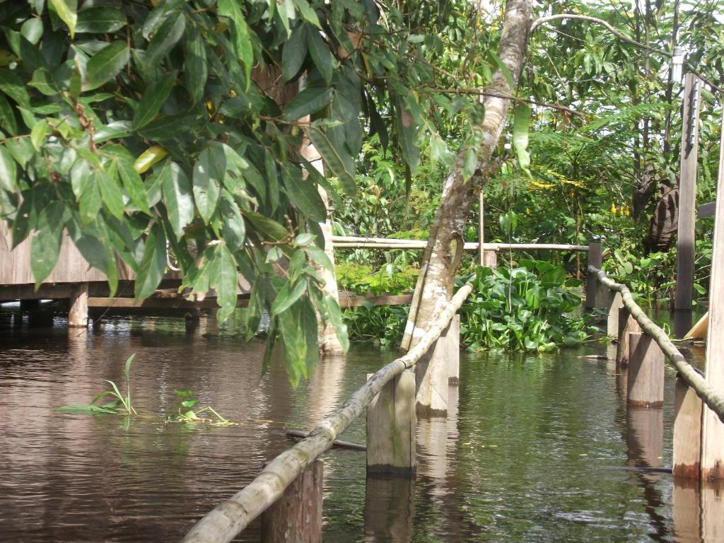 Amazon Arowana Lodge Careiro 외부 사진